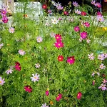 Tatil Evi Magia Krutyni Krutyń