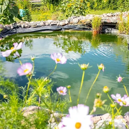 Magia Krutyni Krutyn