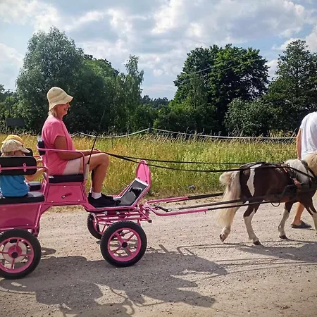 Magia Krutyni * Krutyń