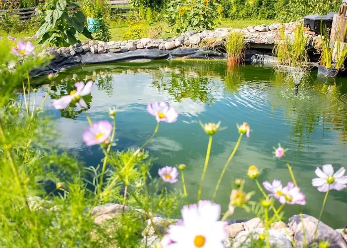 Magia Krutyni Krutyń